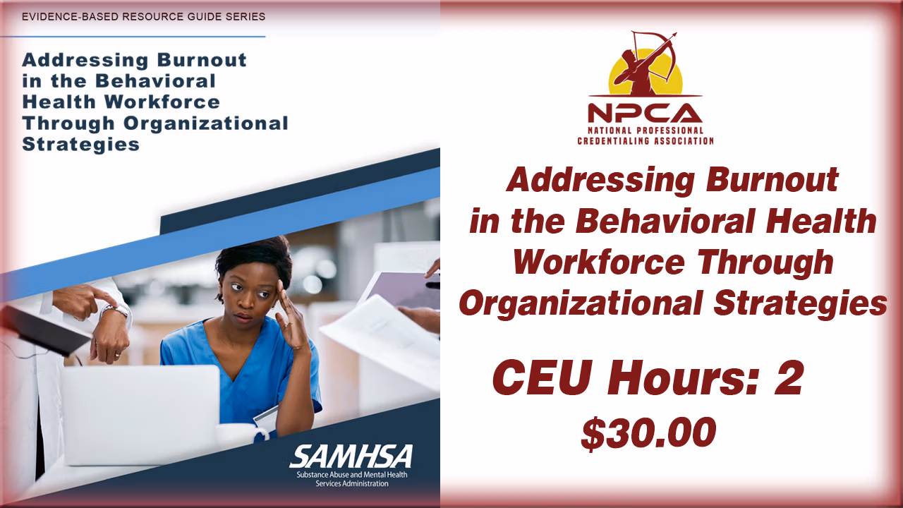 Addressing Burnout in the Behavioral Health Workforce Through Organizational Strategies