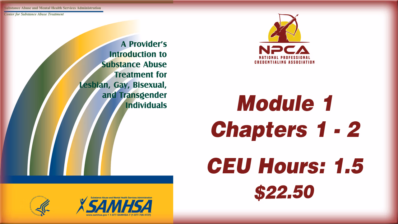 Provider Guide 1 Substance Abuse Treatment for LGBT Clients