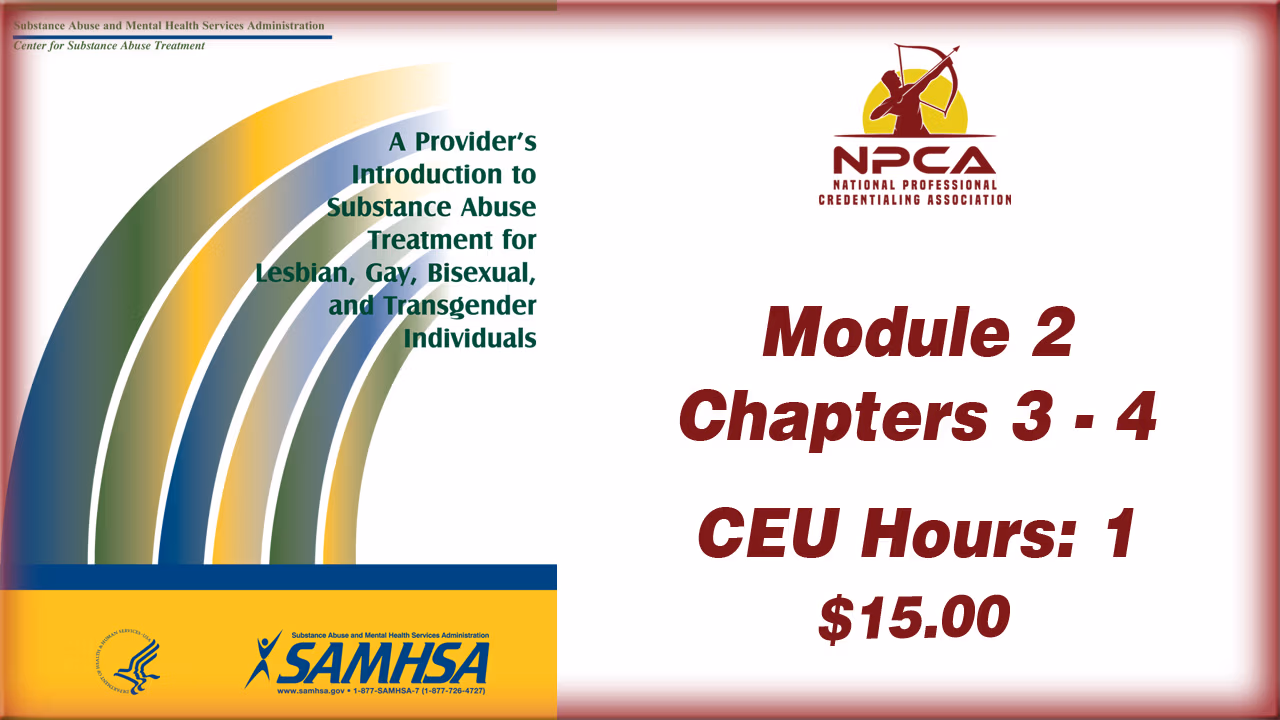 Provider Guide 2 Substance Abuse Treatment for LGBT Clients