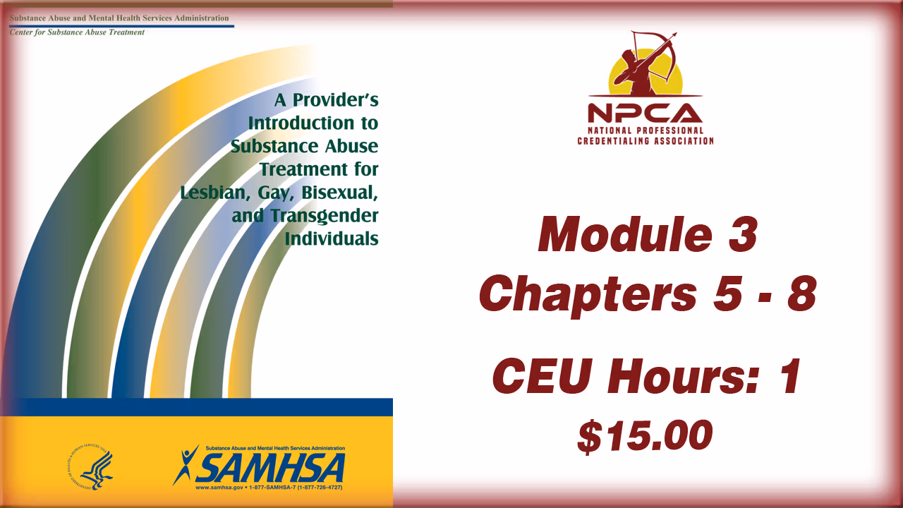 Provider Guide 3 Substance Abuse Treatment for LGBT Clients