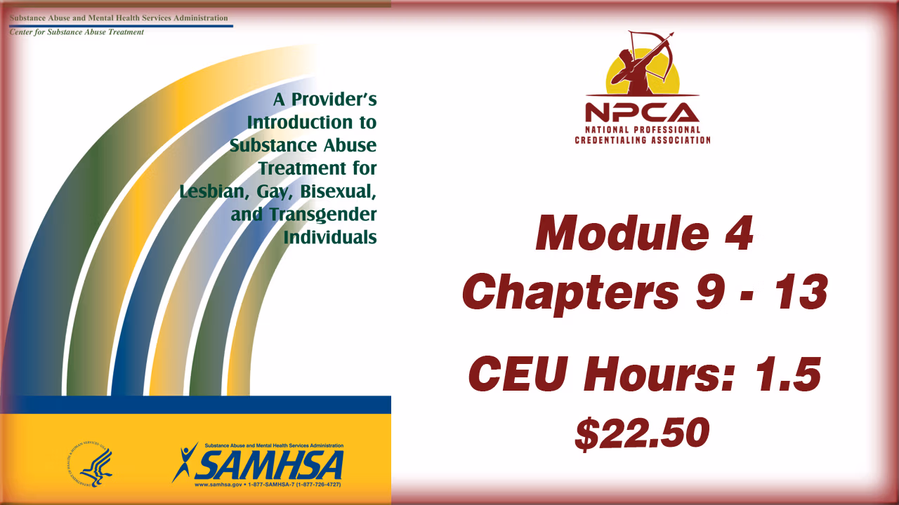 Provider Guide 4 Substance Abuse Treatment for LGBT Clients