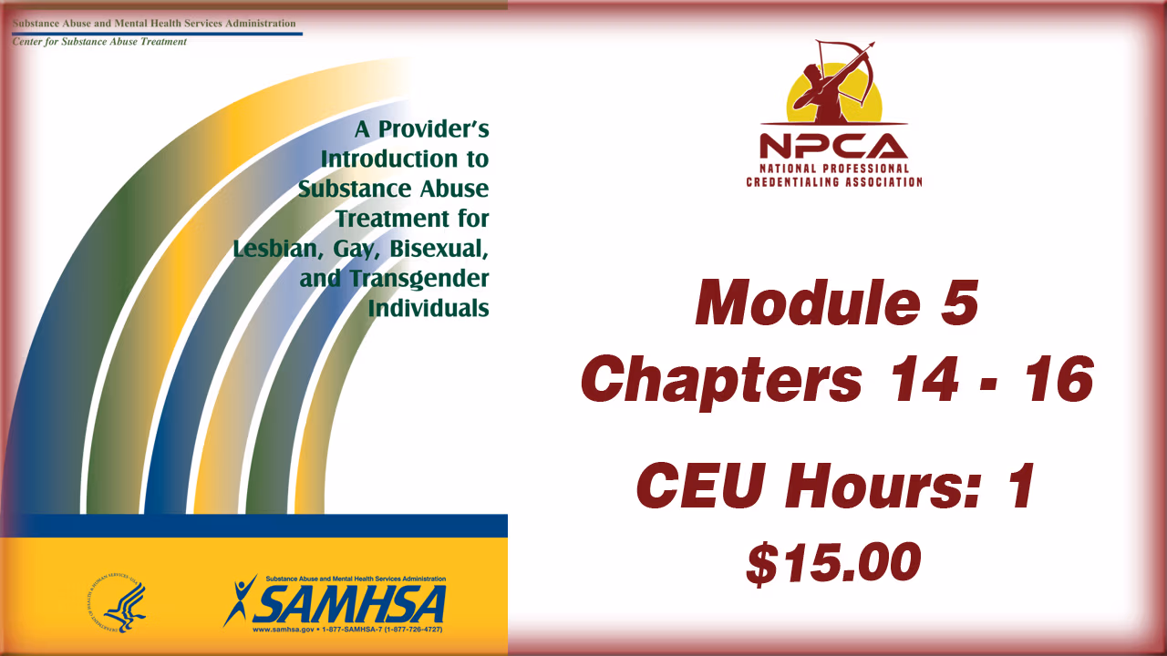 Provider Guide 5 Substance Abuse Treatment for LGBT Clients